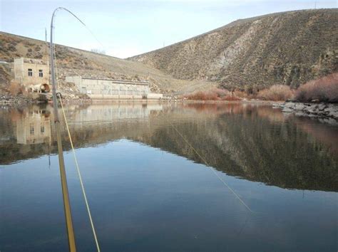magic fish|Magic Reservoir .